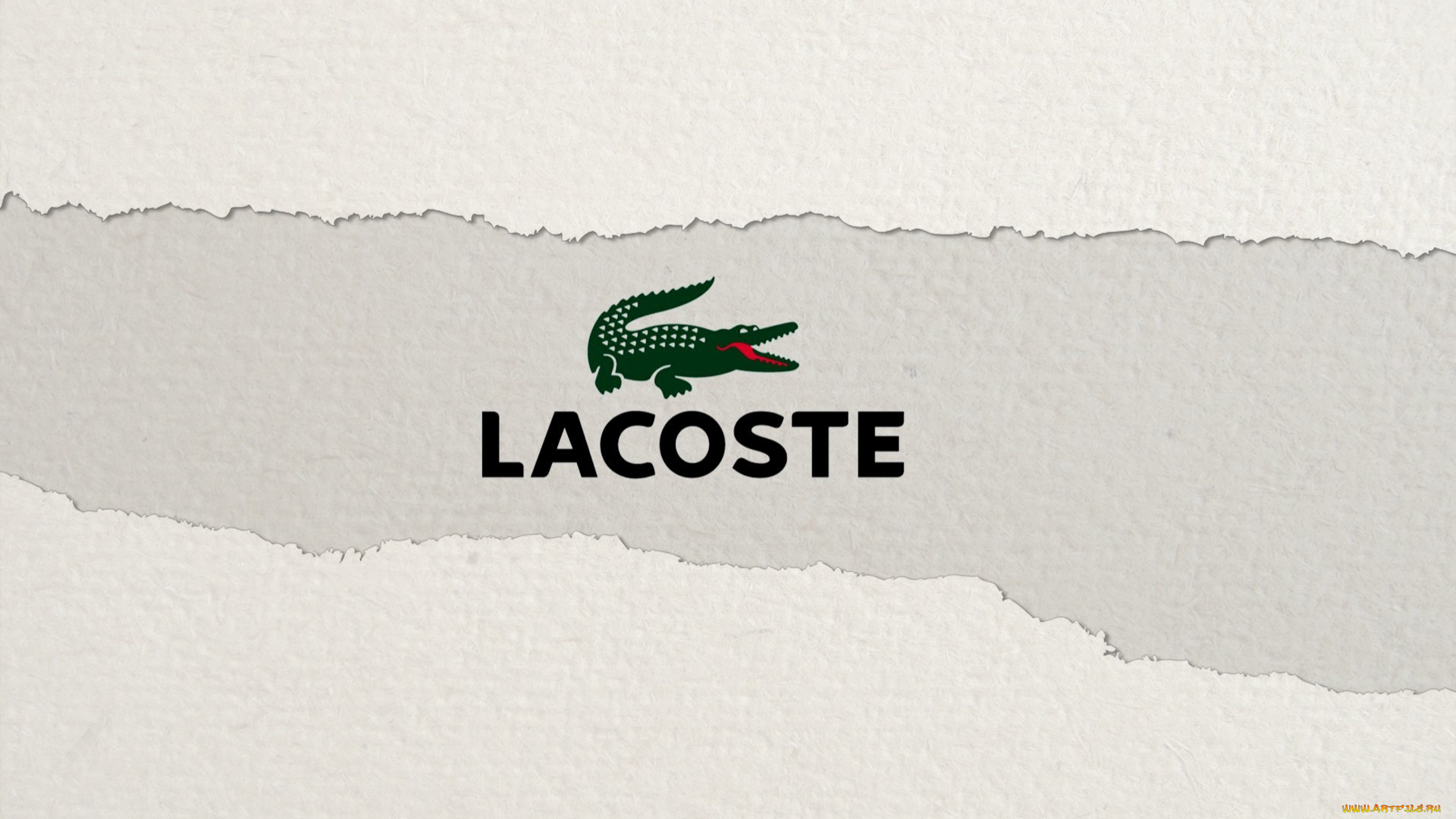 , lacoste, , logo, 